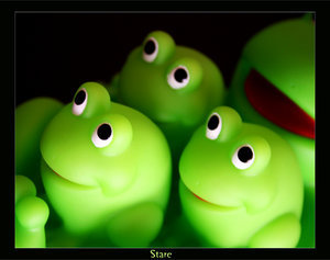 10044836.jpg